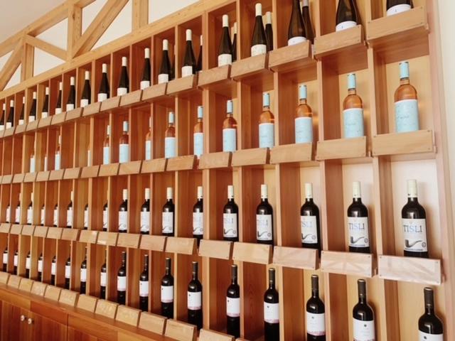 Riviera Park Hotel Balatonföldvár エクステリア 写真