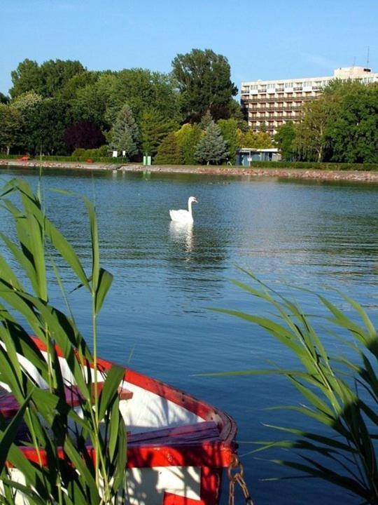 Riviera Park Hotel Balatonföldvár エクステリア 写真